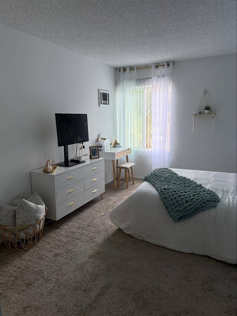 Looking for a roommate