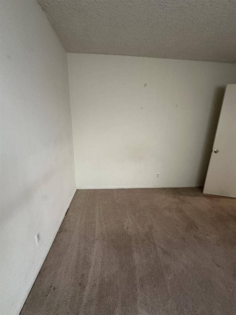 Beautiful Santa Monica Apartment