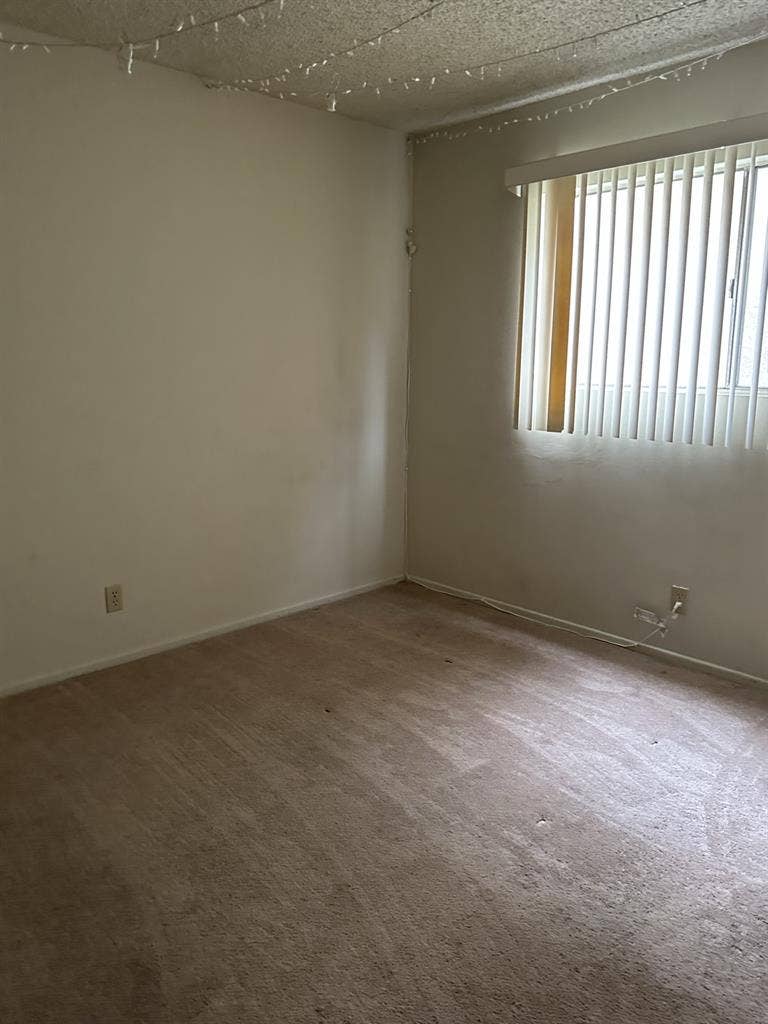 Beautiful Santa Monica Apartment