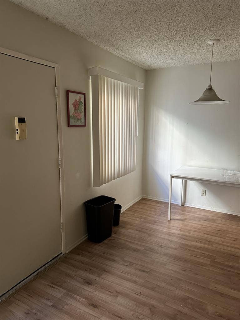 Beautiful Santa Monica Apartment