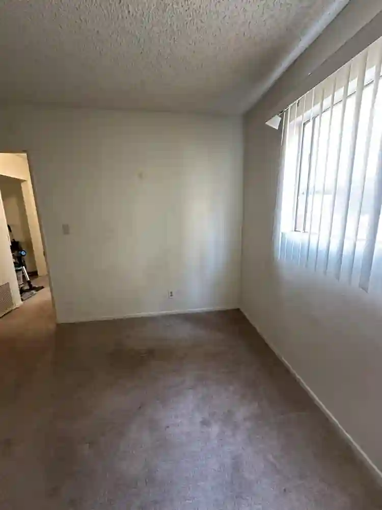 Beautiful Santa Monica Apartment