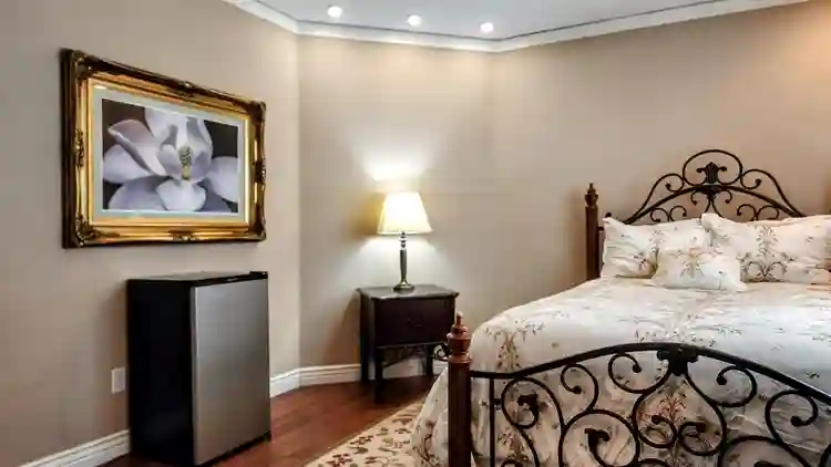 Furnished Bedroom + Priv Bathroom