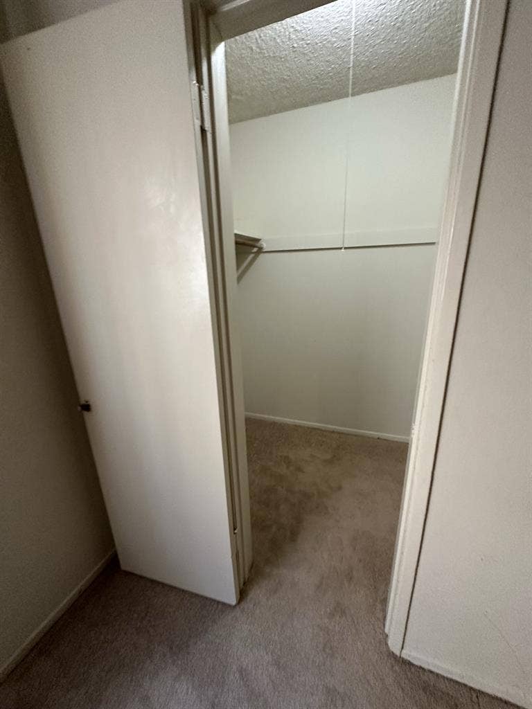 Beautiful Santa Monica Apartment