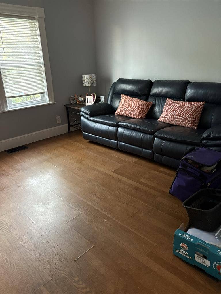 Fully Furnished Room, Living Room