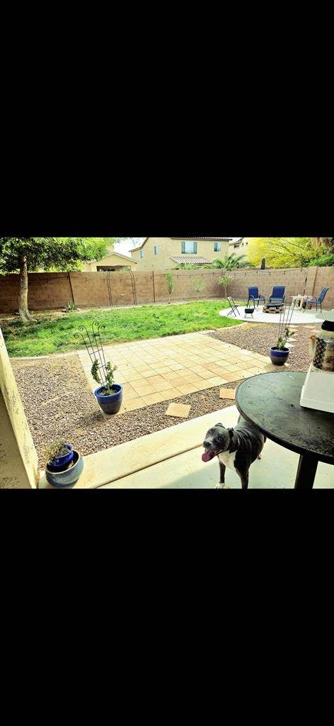 Looking for a clean housemate.