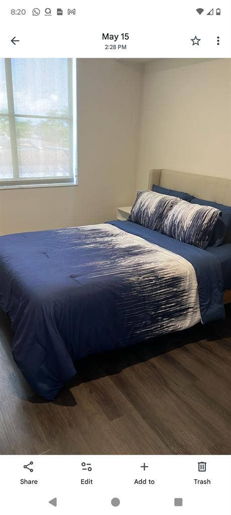 Modern building coral gables