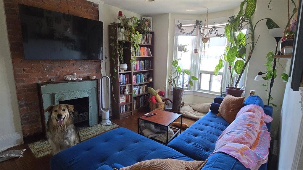 Room & private ensuite bathroom