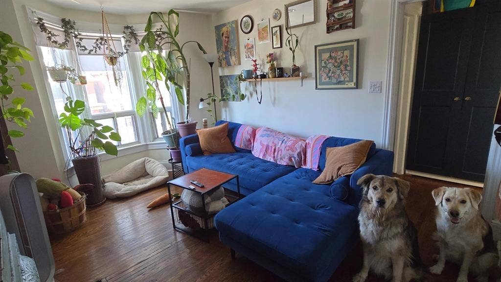 Room & private ensuite bathroom