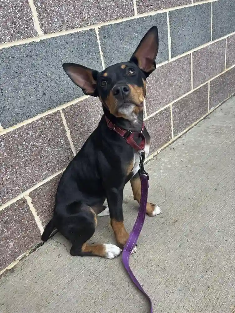 My daughter ‘s Lease TakeOver! Get$