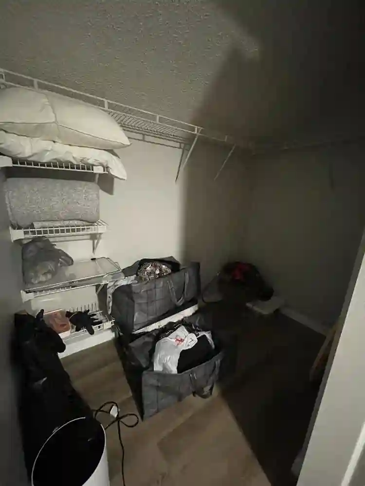 female Roomate everything included