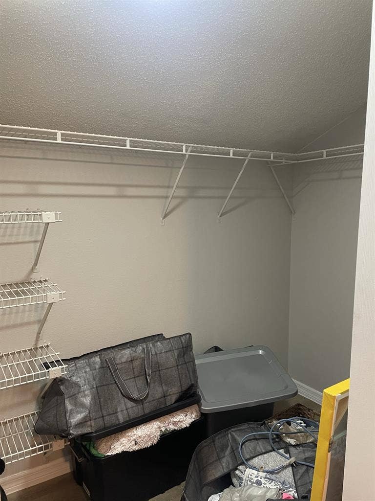 female Roomate everything included