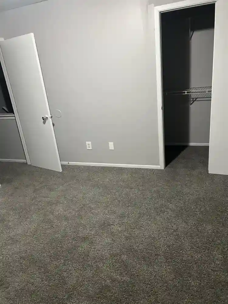 Looking for a roommate