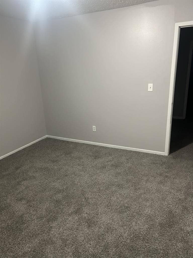 Looking for a roommate