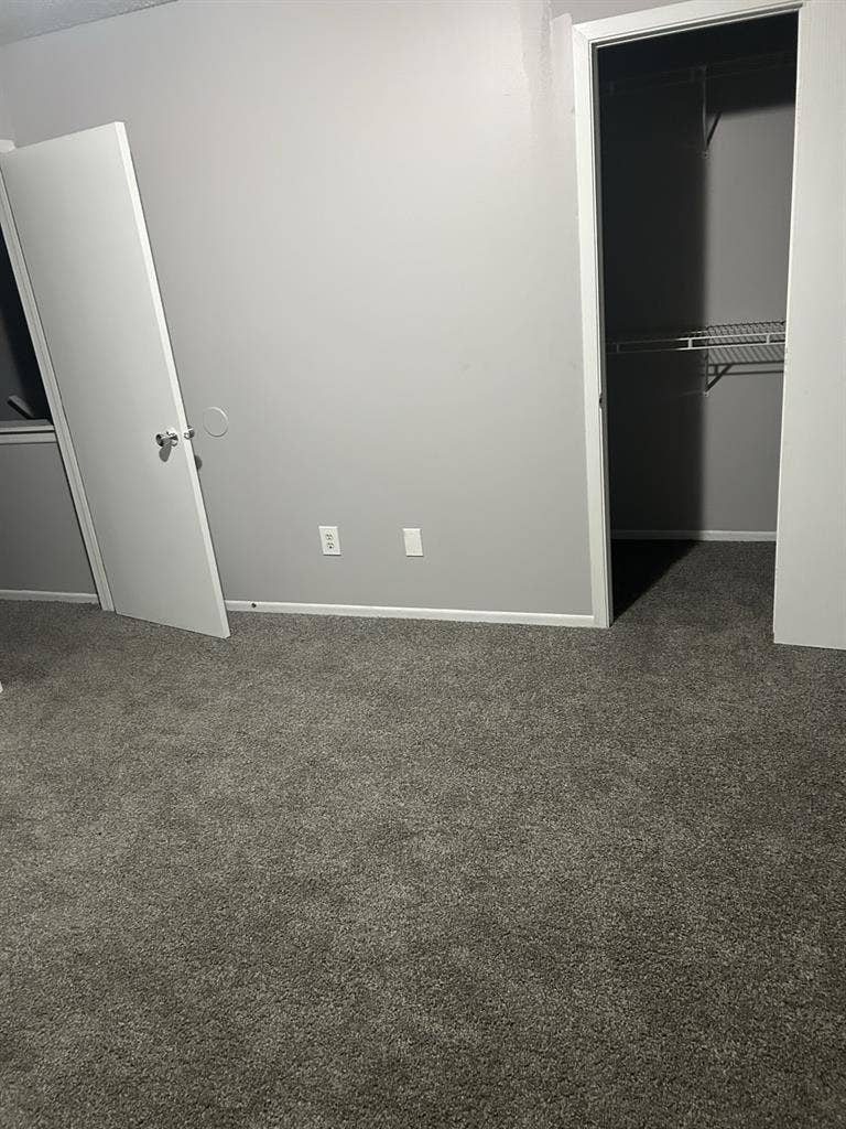 Looking for a roommate