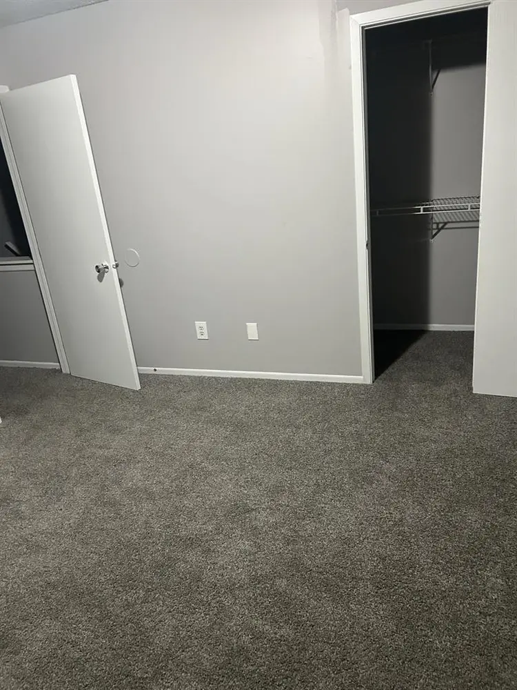 Looking for a roommate