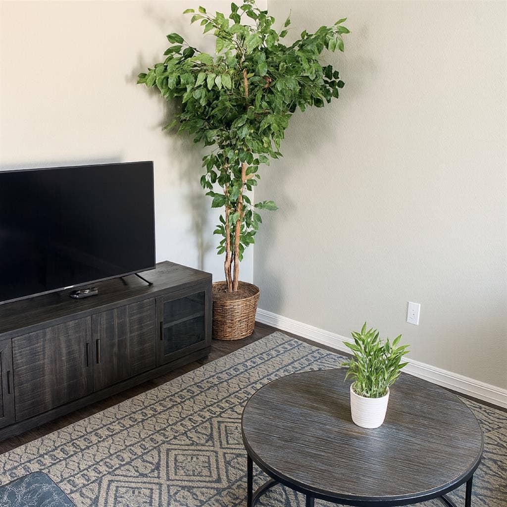 Room with private bath(furnished)