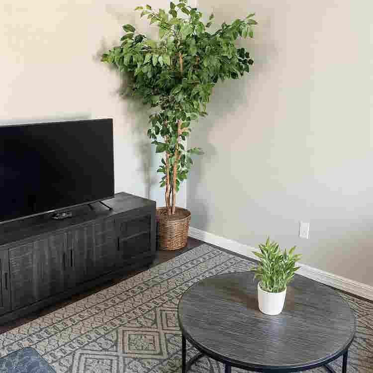 Room with private bath(furnished)