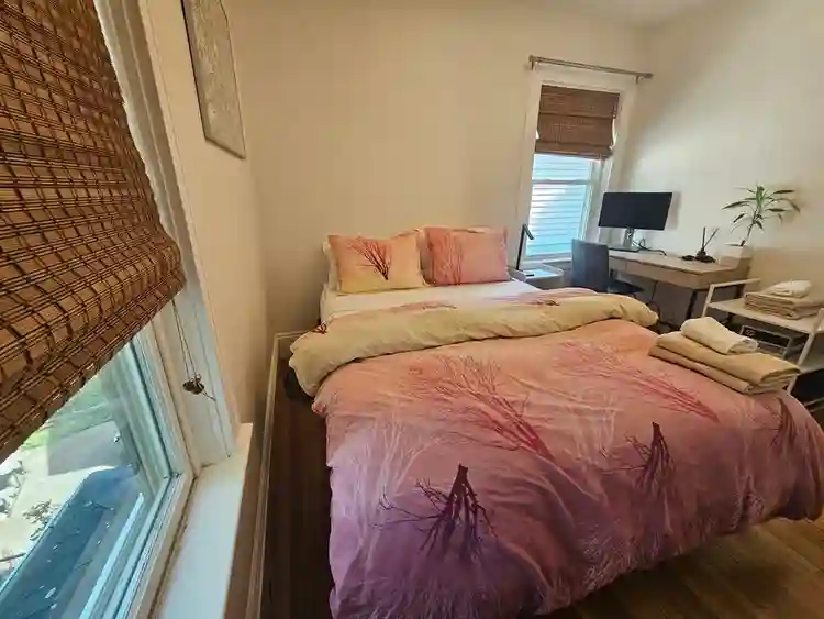 Furnished Beautiful Family House