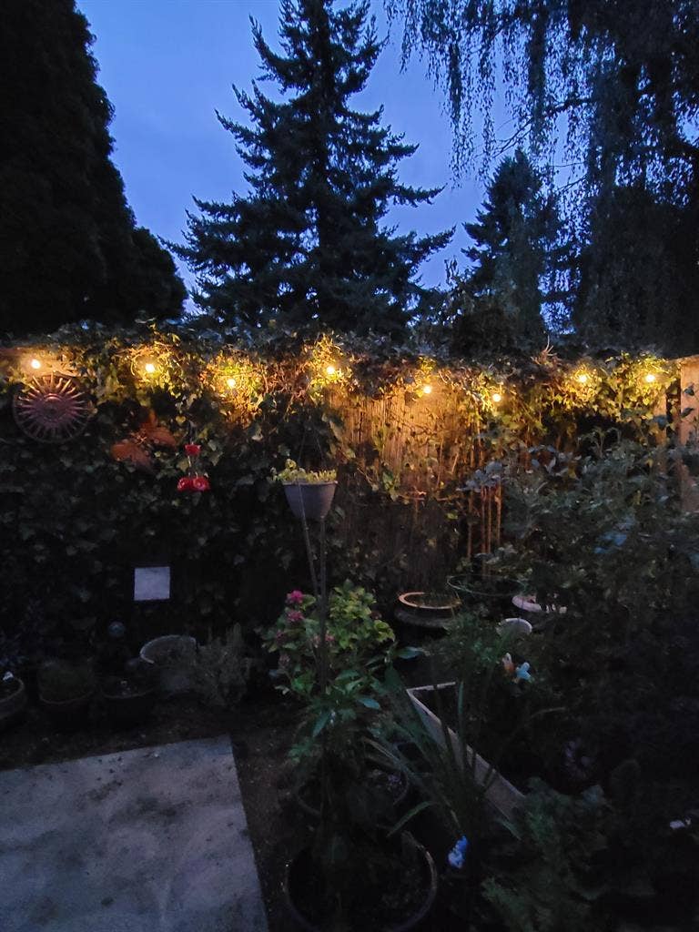 $ one bedroom available