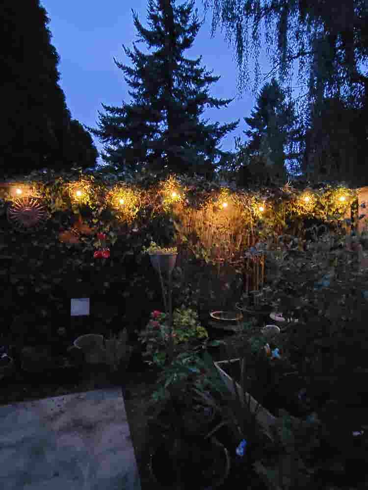 $ one bedroom available