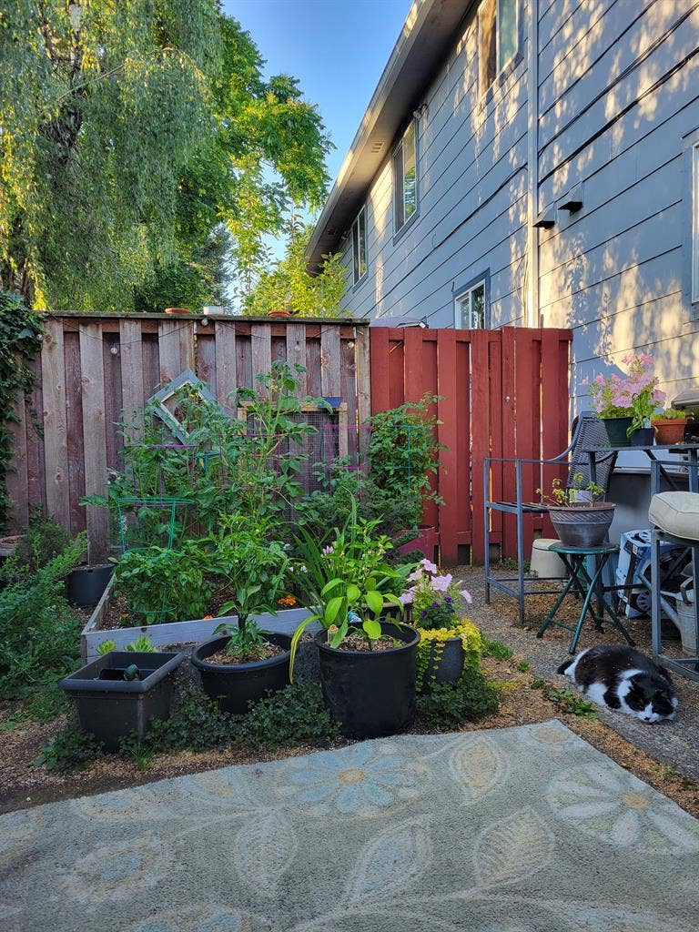 $ one bedroom available