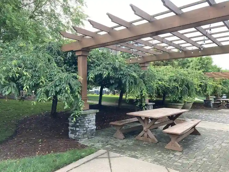 Need roommate & help around house