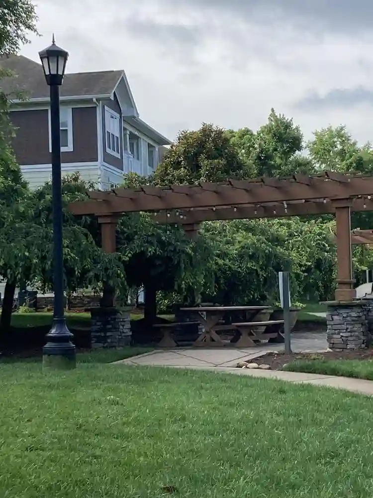 Need roommate & help around house