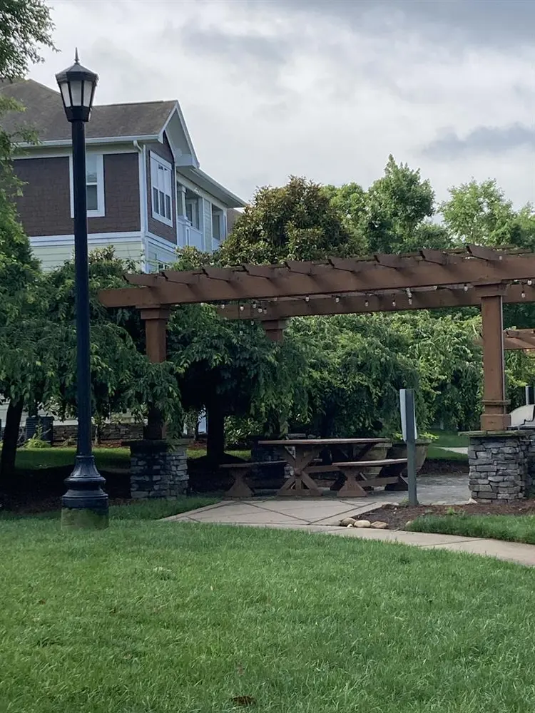 Need roommate & help around house