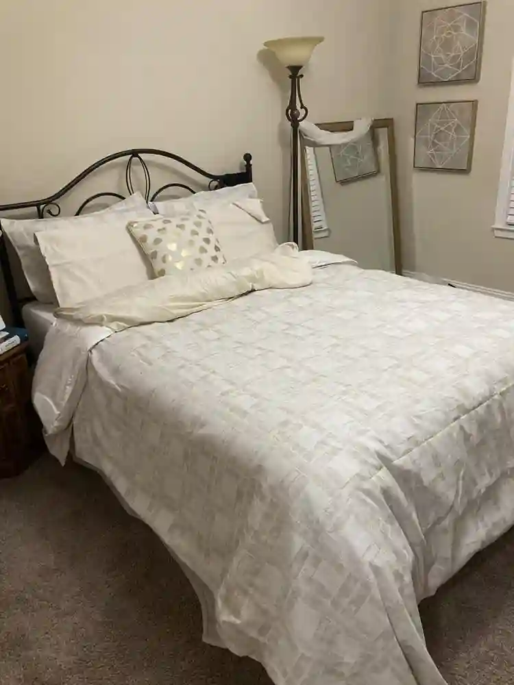Need roommate & help around house