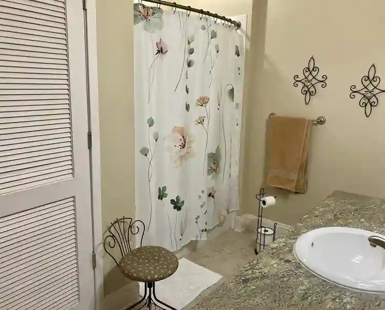 Need roommate & help around house