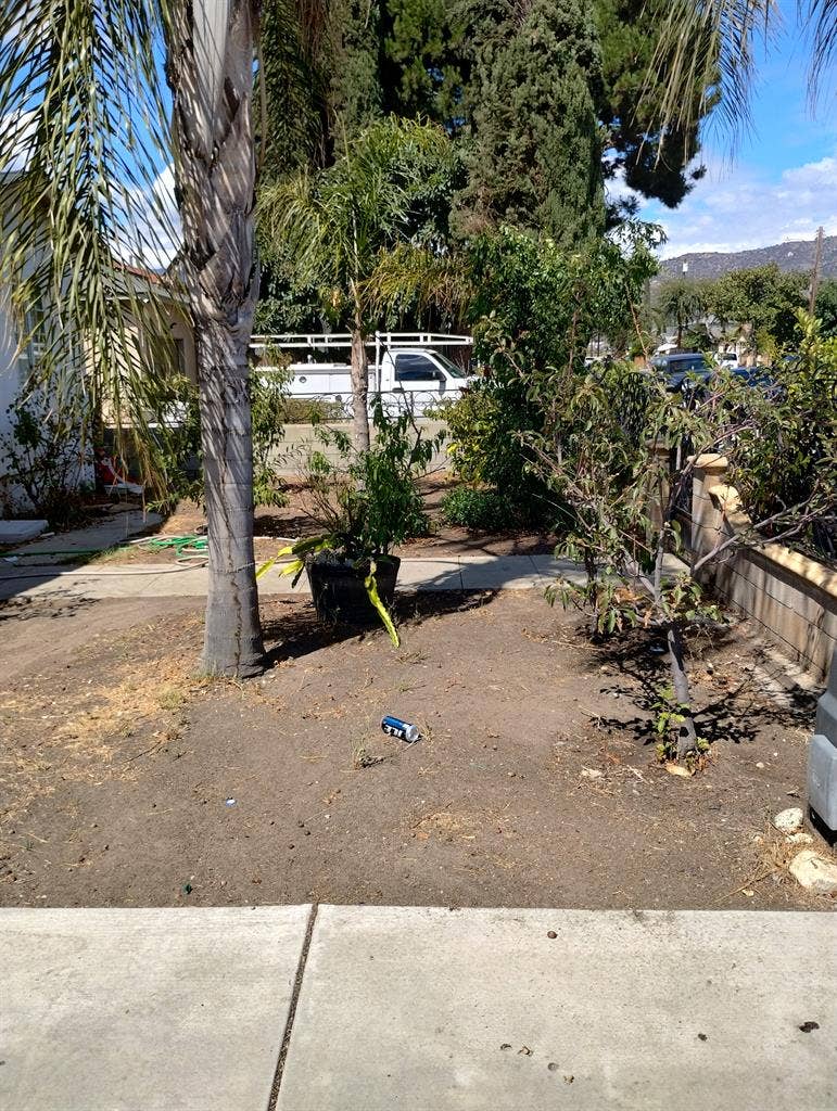 Room for rent in large house