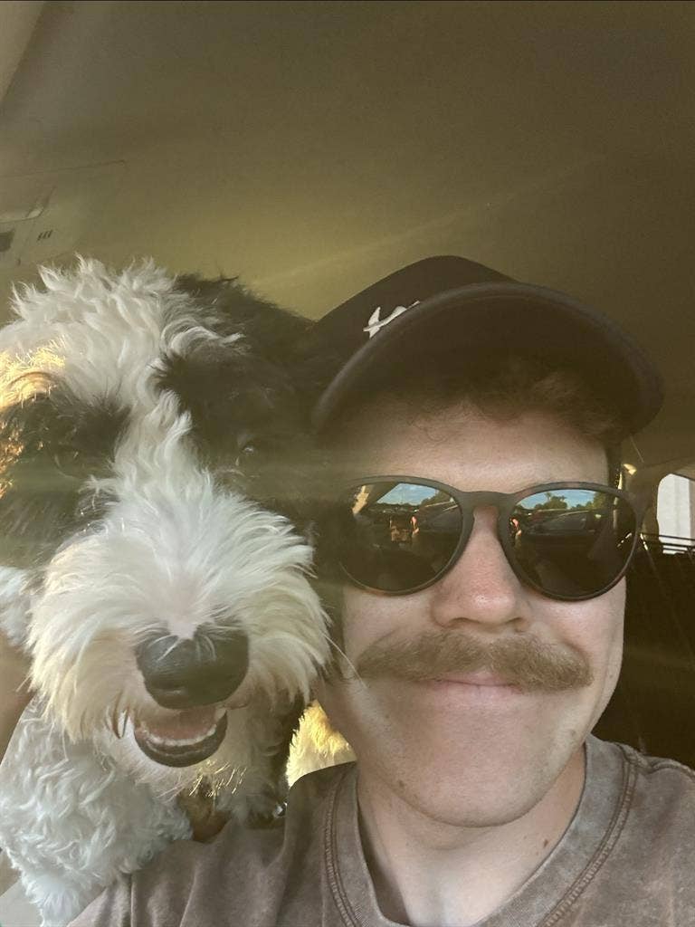 Brentwood / Franklin- male roommate