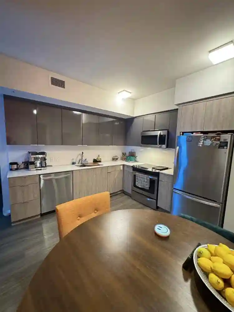 Luxury downtown apartment