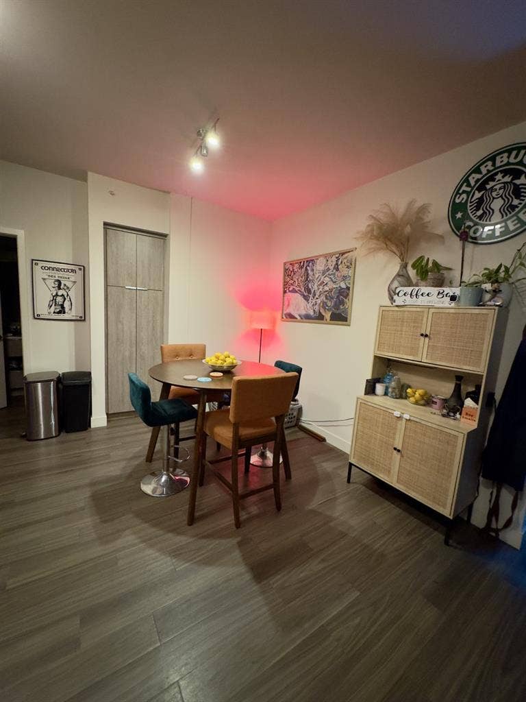 Luxury downtown apartment