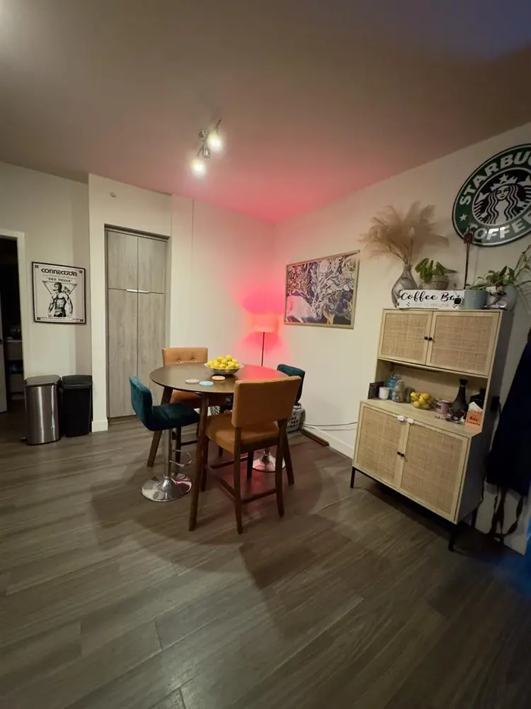 Luxury downtown apartment