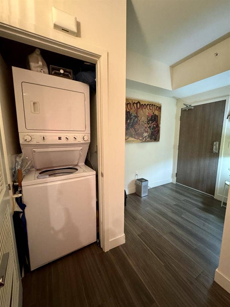 Luxury downtown apartment