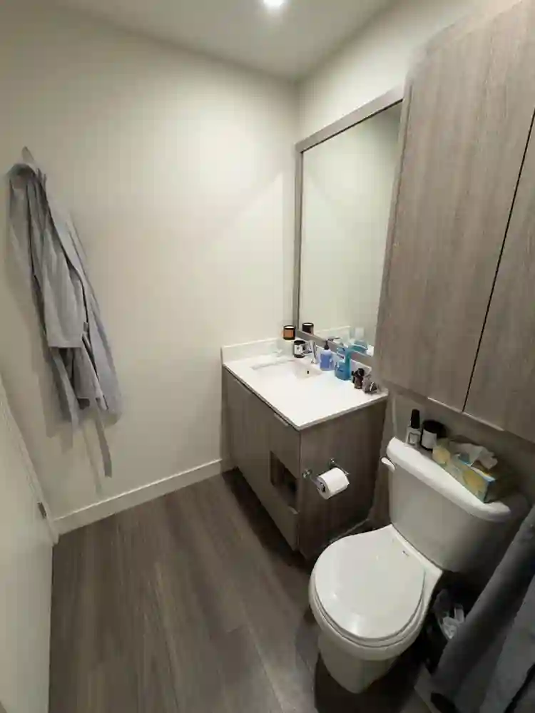 Luxury downtown apartment