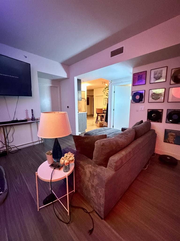 Luxury downtown apartment