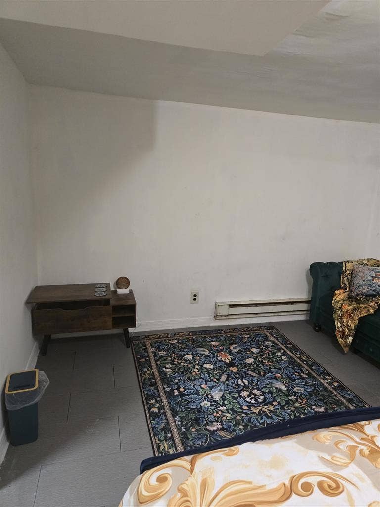 Beautiful basement unit in a duplex