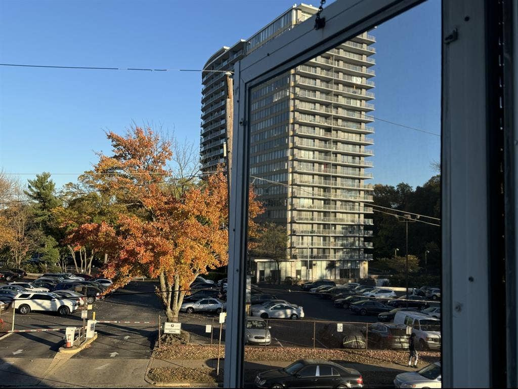 Beautiful basement unit in a duplex
