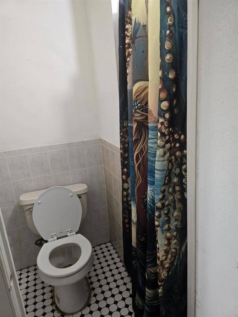 Beautiful basement unit in a duplex