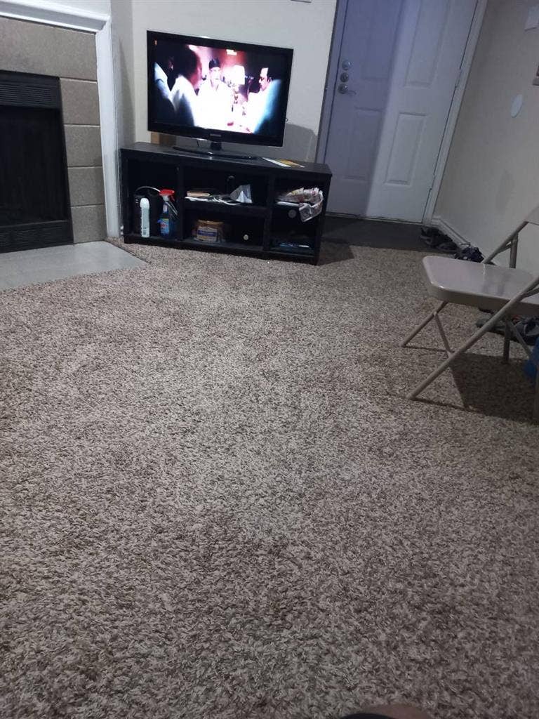 Shared Accommodation Available