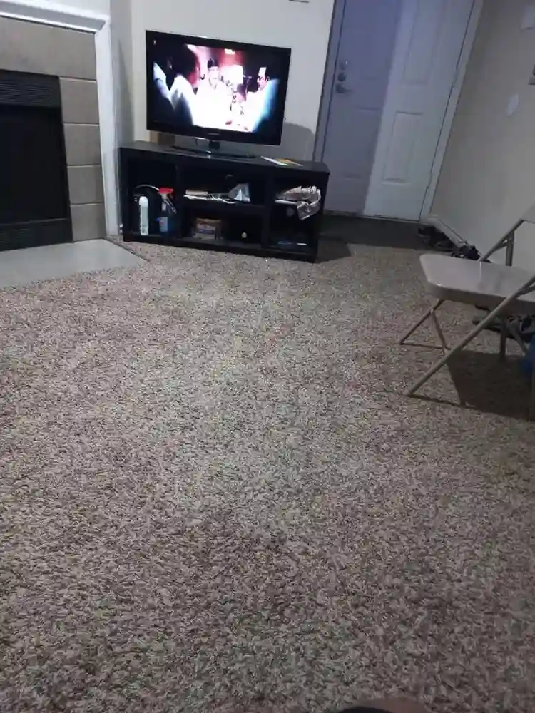 Shared Accommodation Available