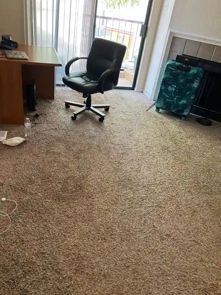 Shared Accommodation Available