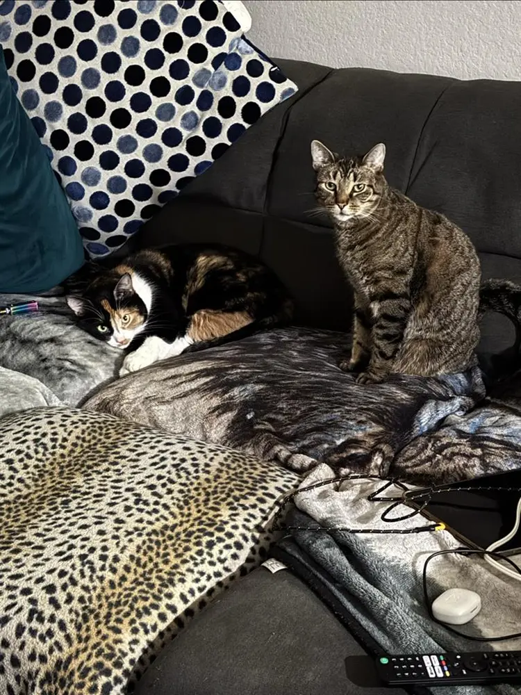 Single Room with own Bathroom.