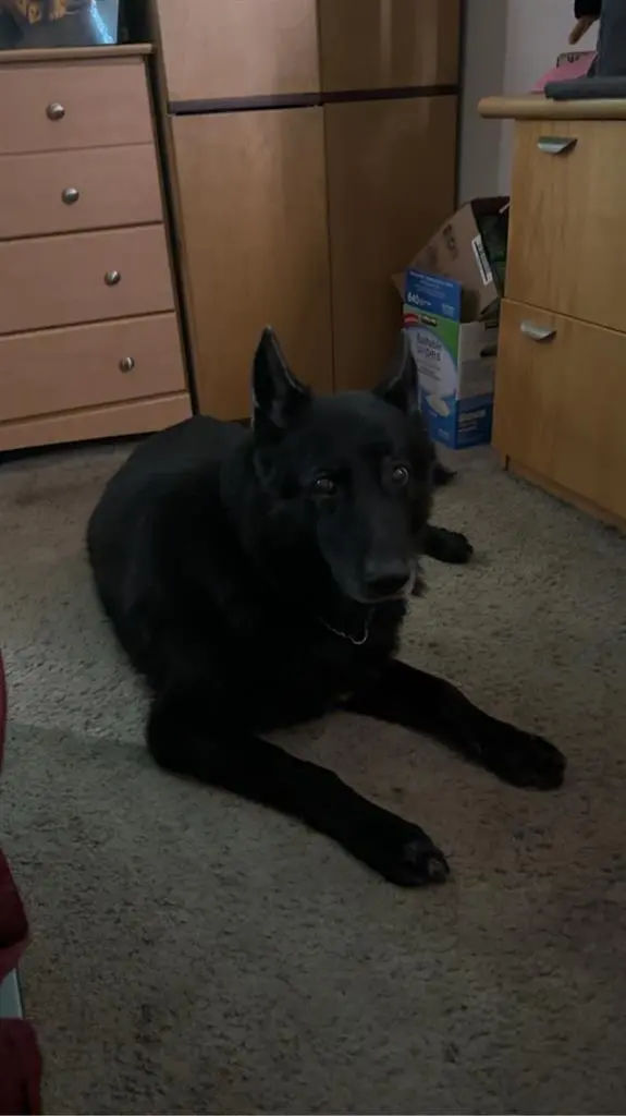 Single Room with own Bathroom.