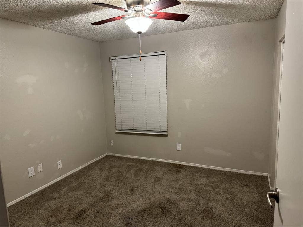 Single Room with own Bathroom.