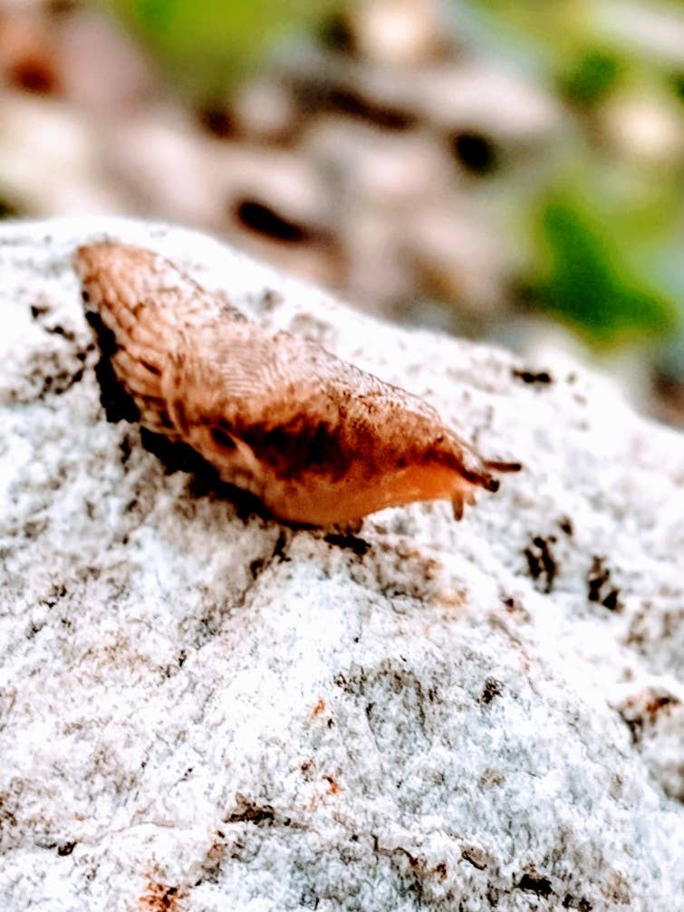 I really need a space to call Home!