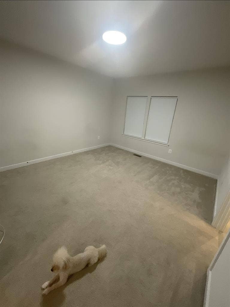 Luxury Master Suite by Metro DC!