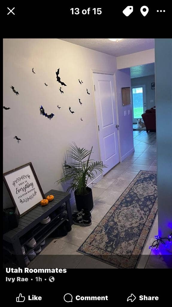 Seeking roomate for cozy townhouse